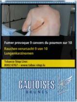 Gauloises Brunes Sigaretten 10x20 Stuks